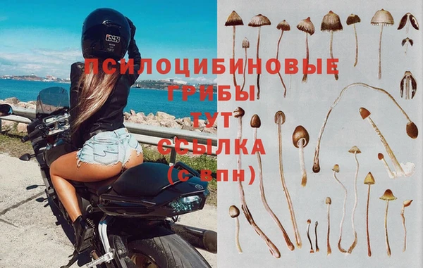 мяу мяу мука Белоозёрский