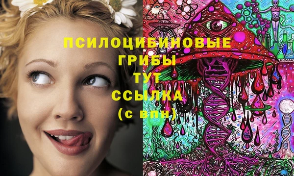 МДМА Беломорск
